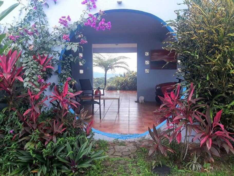 Art Retreat/Studio/Adventures Las Piedras Exterior foto