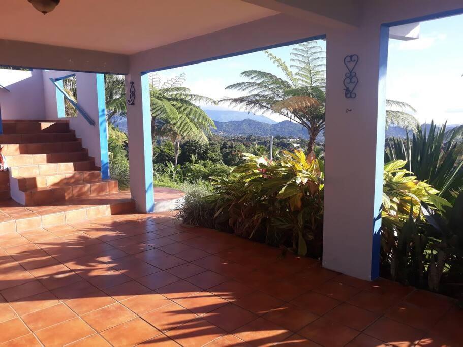 Art Retreat/Studio/Adventures Las Piedras Exterior foto