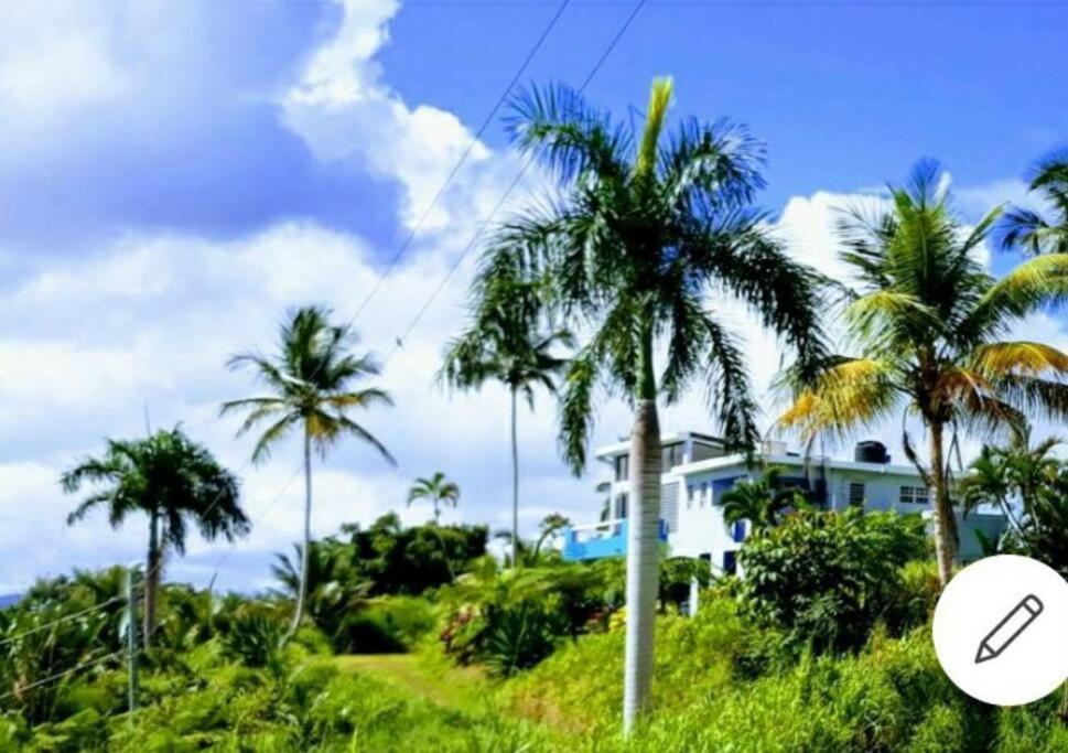 Art Retreat/Studio/Adventures Las Piedras Exterior foto