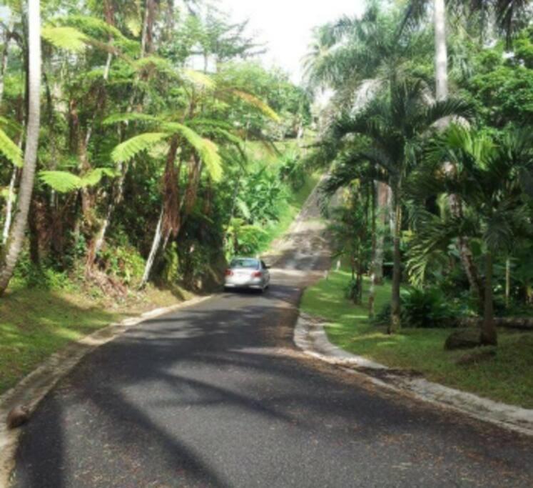 Art Retreat/Studio/Adventures Las Piedras Exterior foto