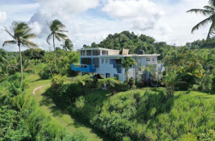Art Retreat/Studio/Adventures Las Piedras Exterior foto