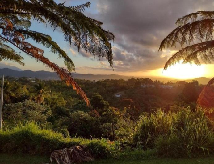 Art Retreat/Studio/Adventures Las Piedras Exterior foto